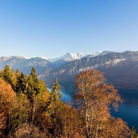 Daire Alpenrose 2.5 Mit Mitbenutzung & Wellness - Griwa Rent Ag
