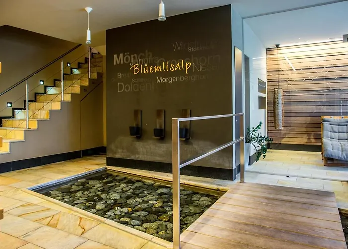 Apartment Alpenrose 2.5 Mit Mitbenutzung Spa&wellness - Griwa Rent Ag Beatenberg