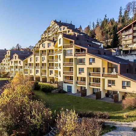 Alpenrose 2.5 Mit Mitbenutzung & Wellness - Griwa Rent Ag * Beatenberg